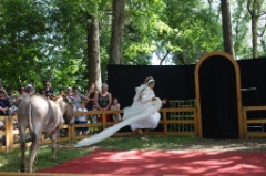 File O Romeo 18 * 5616 x 3744 * (9.24MB)